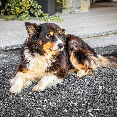 Haus Lindbichl Σπίτι διακοπών *