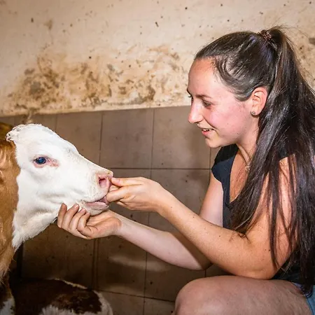 Σπίτι διακοπών Haus Lindbichl *