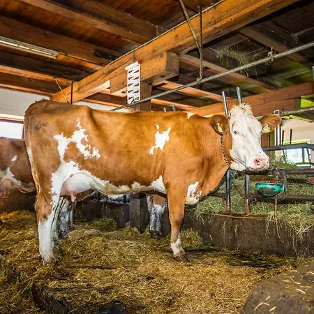 Haus Lindbichl Tatil Evi *