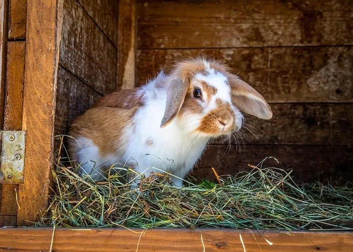 Prázdninový dům Haus Lindbichl