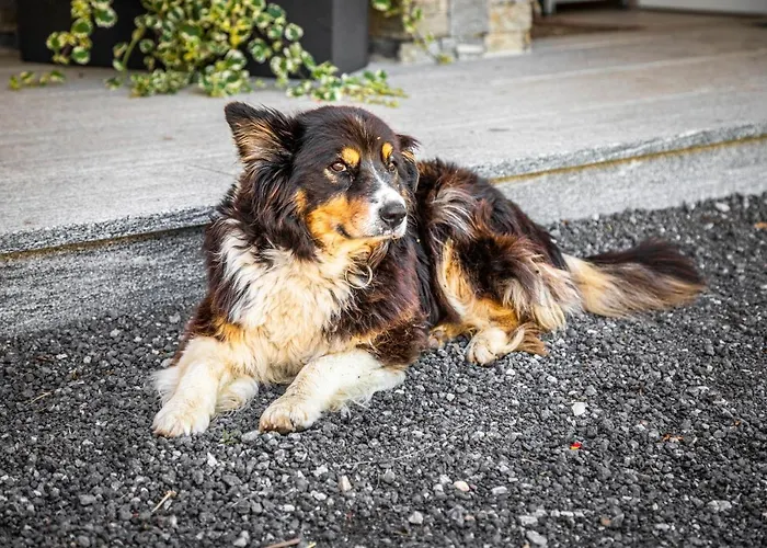 Haus Lindbichl Prázdninový dům *