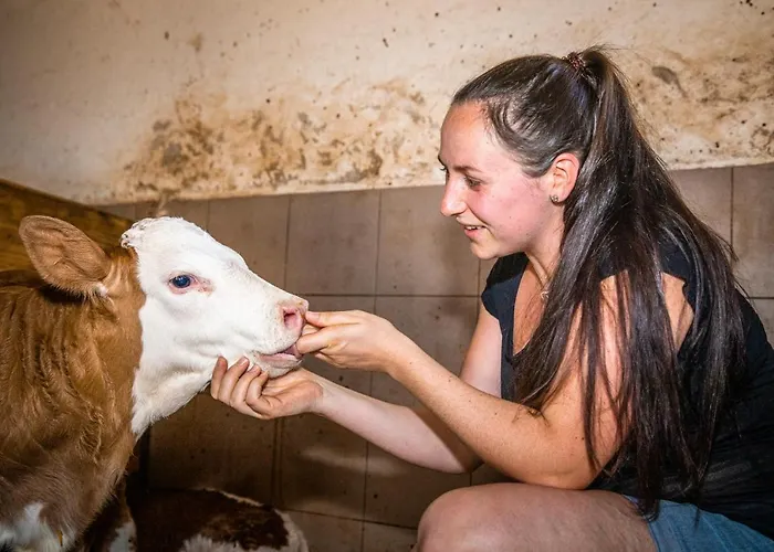 Prázdninový dům Haus Lindbichl *