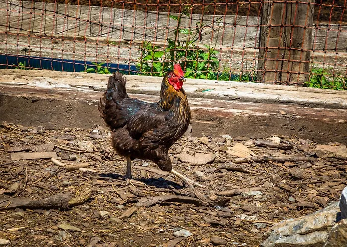 Prázdninový dům Haus Lindbichl *